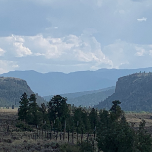 Matthew Randle Profile Image