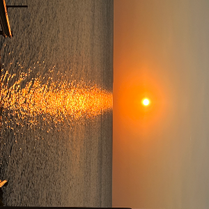 Nichole Young Profile Image