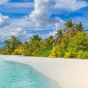 Teena Wilkerson Profile Image