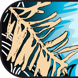 Neave Group Outdoor Solutions - CT