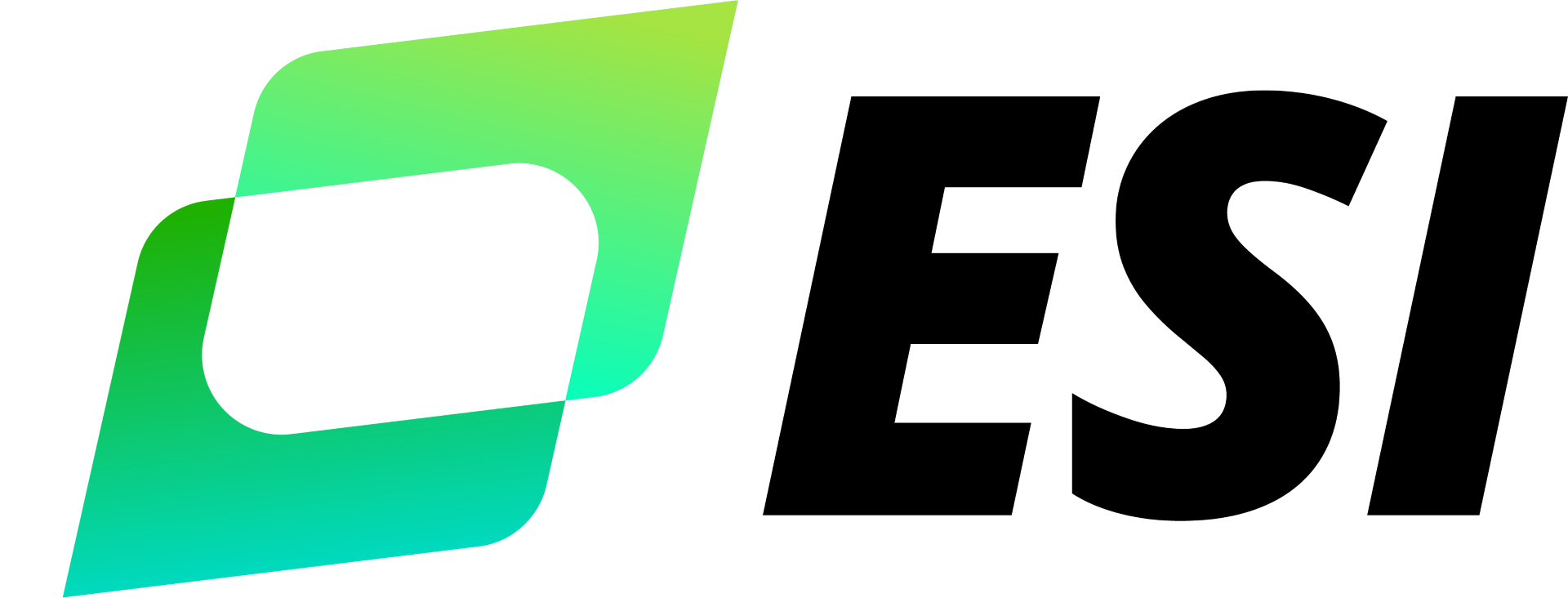 ESI (eEmployers Solutions, Inc.) Logo